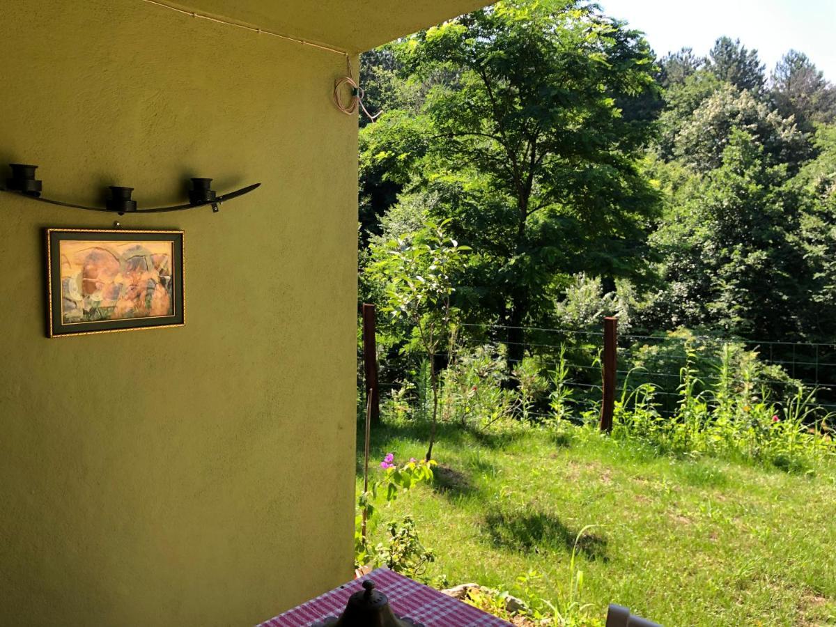 Happyhobbit Forest, Lake View, Fireplace , Jakuzi ,In Sapanca Exterior foto